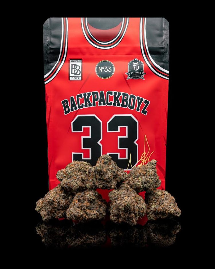 Backpack Boyz Growing the Weed Strains You Dream Of Business Deccan