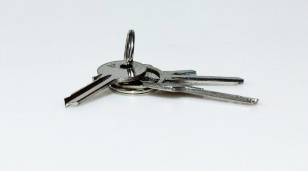 A picture of keys on a keyring, representing the keys to business success from Elijah Norton.