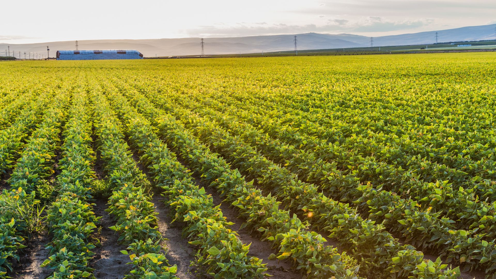 Keeping Your Farmland Secure